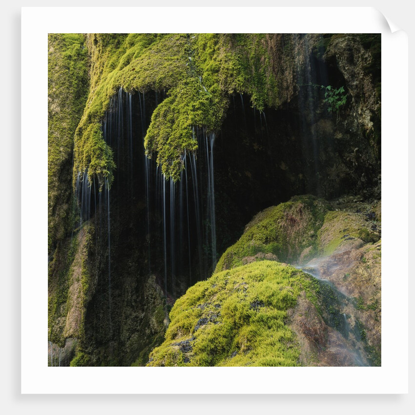 Water Running down Vegetation Covered Rocks by Anonymous