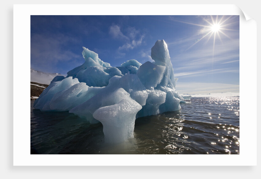 Iceberg Melting Under Summer Sun in Burgerbukta Bay by Anonymous