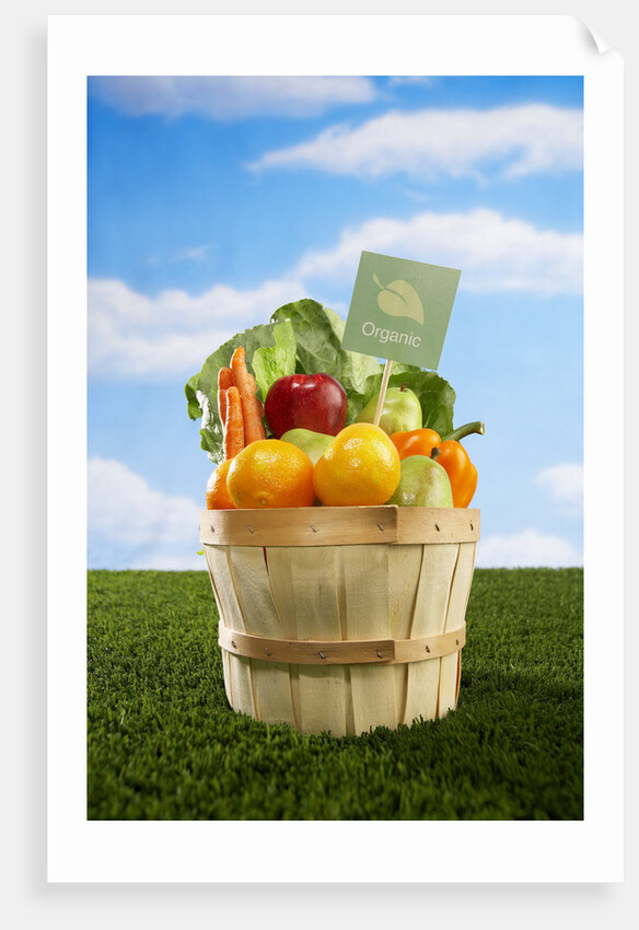 Bushel Full of Organic Fruits and Vegetables by Anonymous