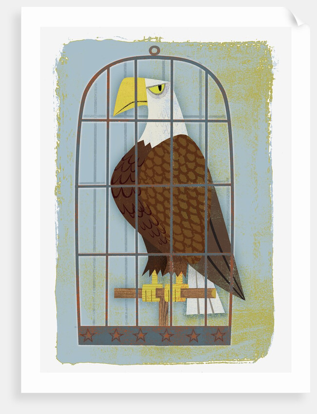 Bald Eagle Confined in Small Cage by Anonymous
