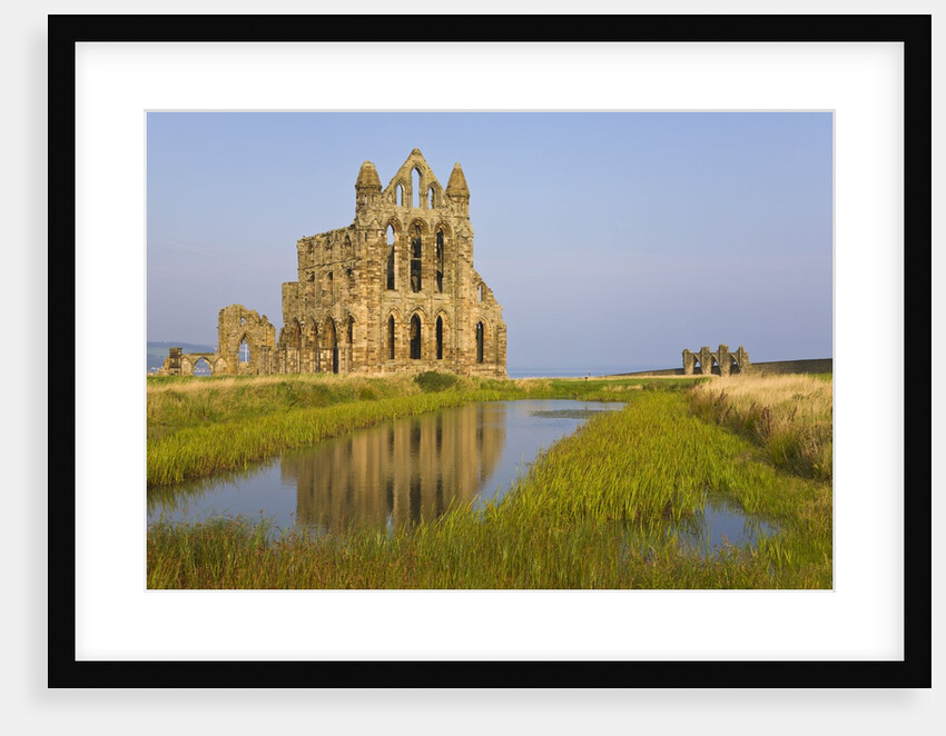 Ruins of Whitby Abbey in North Yorkshire by Anonymous