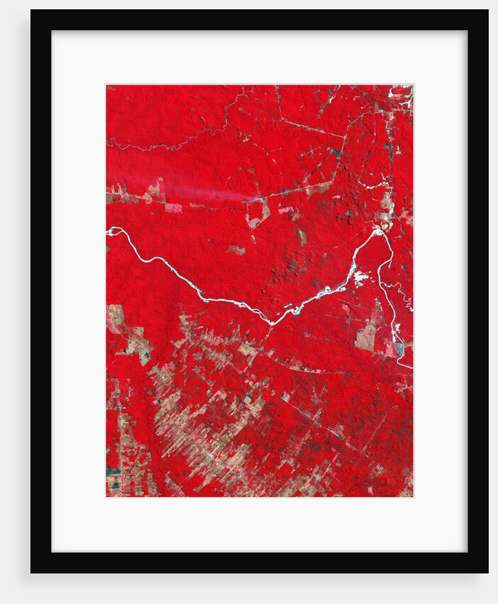 Deforestation in the Amazon Basin in Brazil by Anonymous