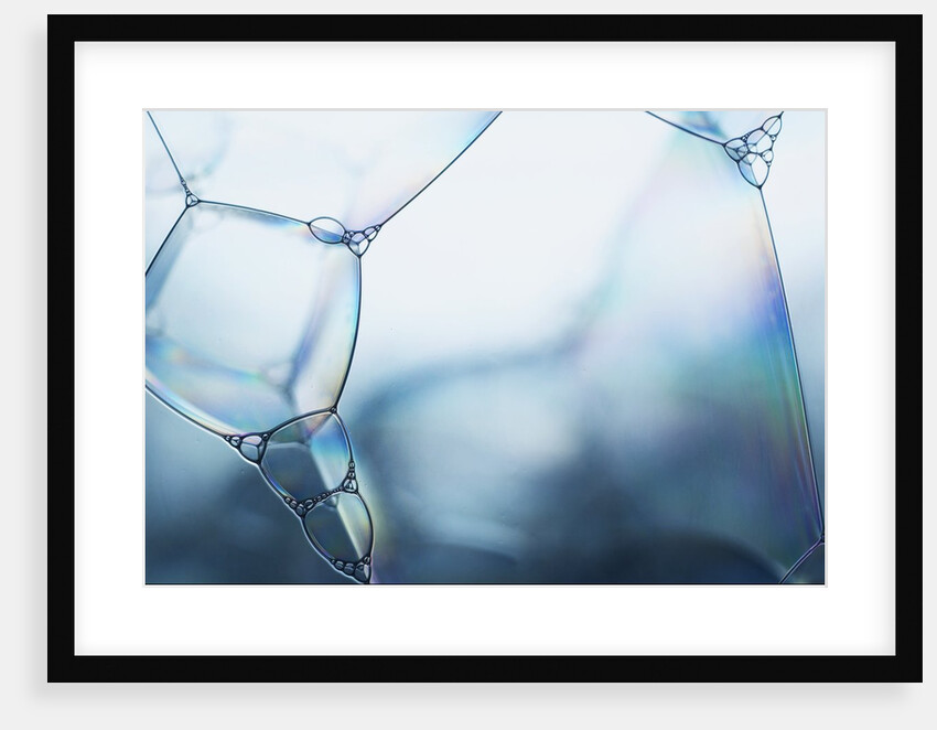 Blue Bubbles by Anonymous