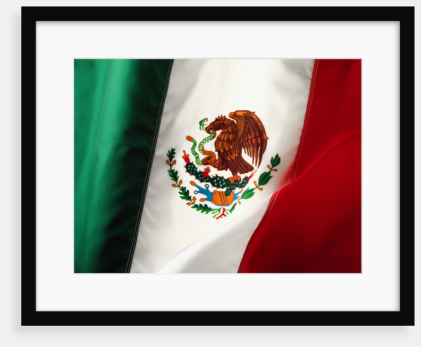 Mexican flag by Anonymous