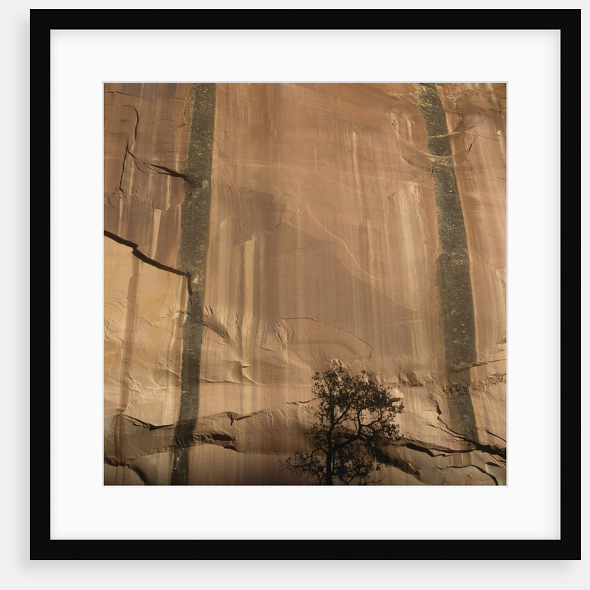 Lone Tree Beneath a Sheer Cliff Face by Anonymous