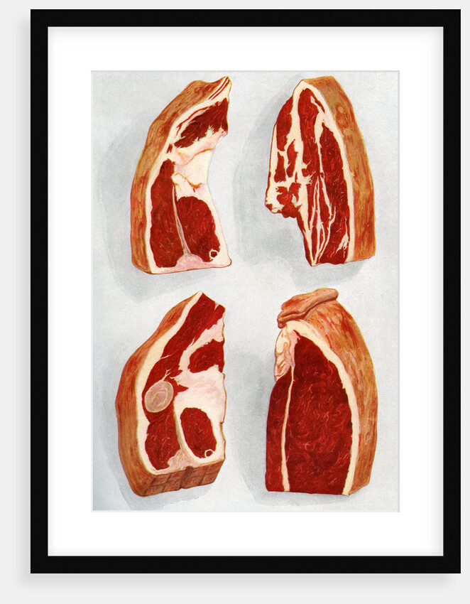 Illustration of four types of beef steaks by Anonymous