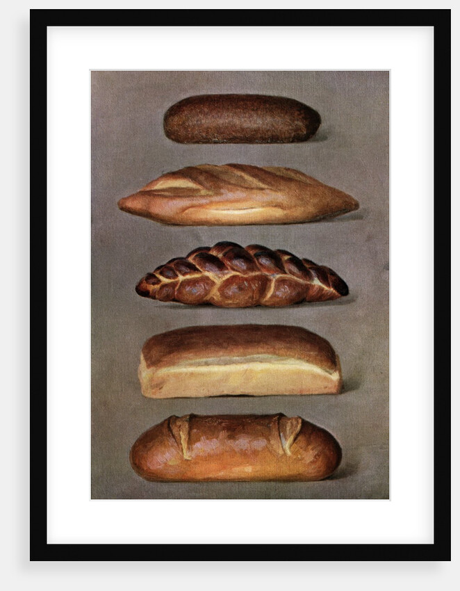 Illustration of five types of bread loaves by Anonymous