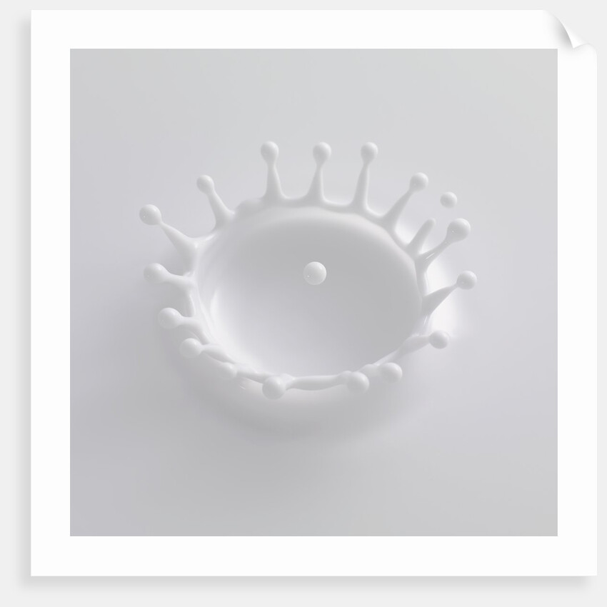 Splash of Milk by Anonymous