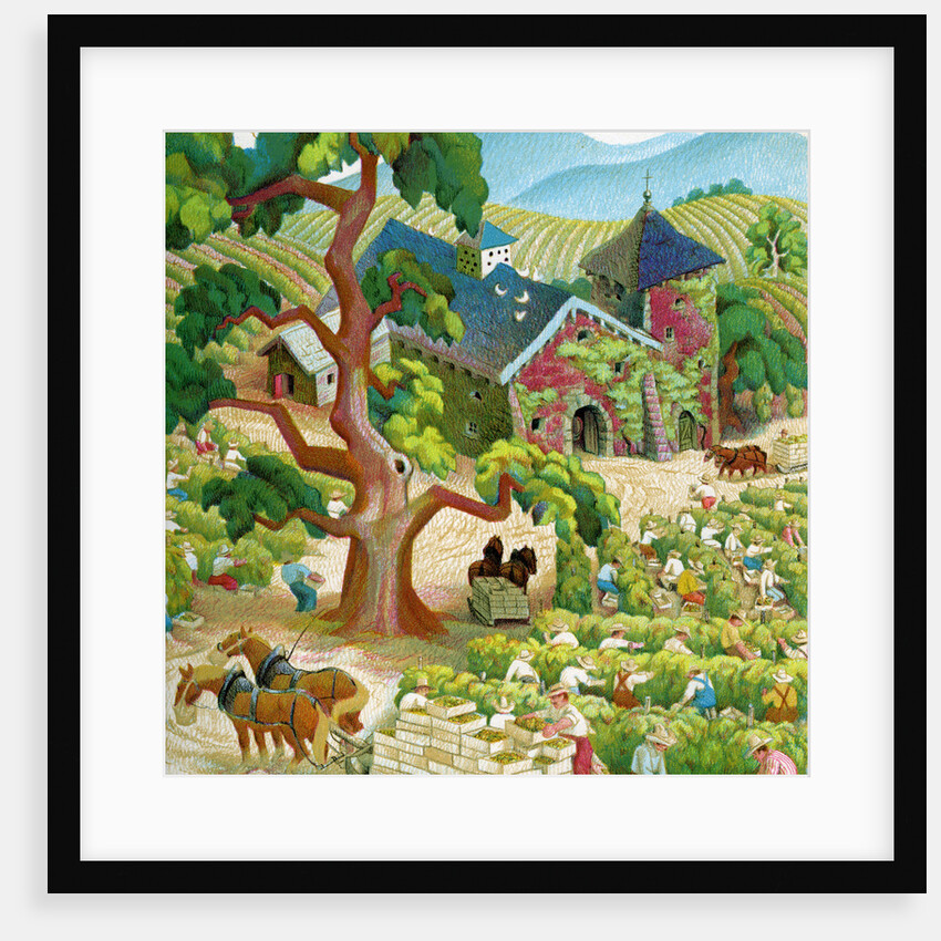 Illustration of Laborers Harvesting Grapes in Napa Valley by C.H. DeWitt