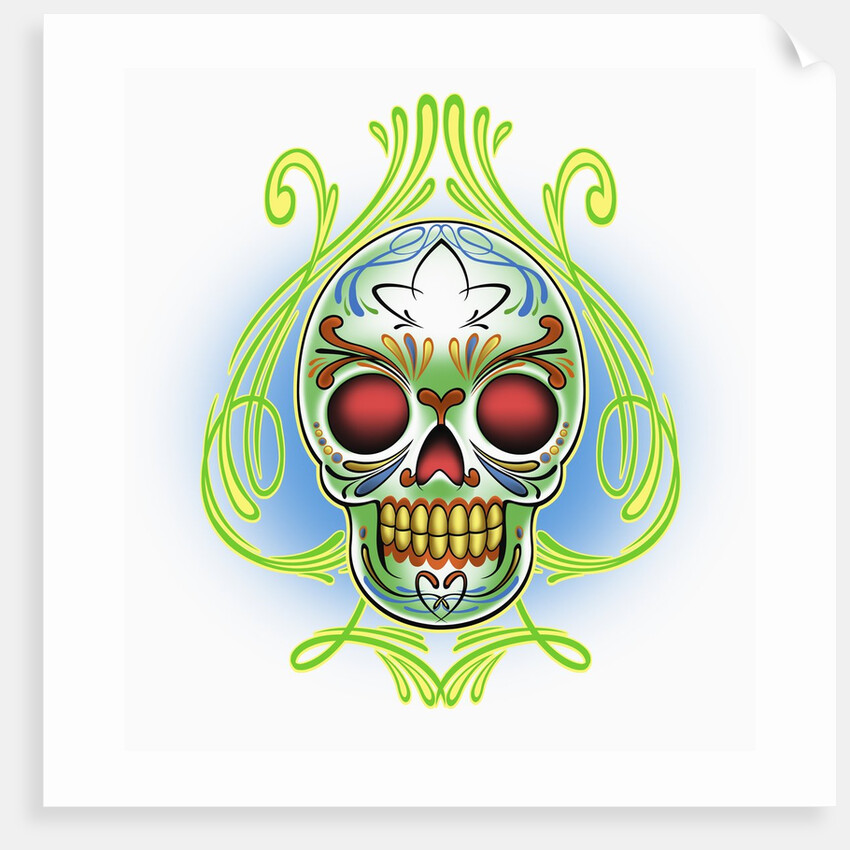 Mexican Skull by Anonymous