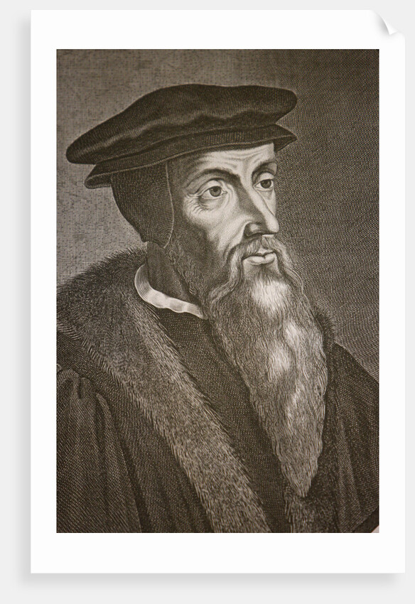 Engraved portrait of John Calvin by Anonymous