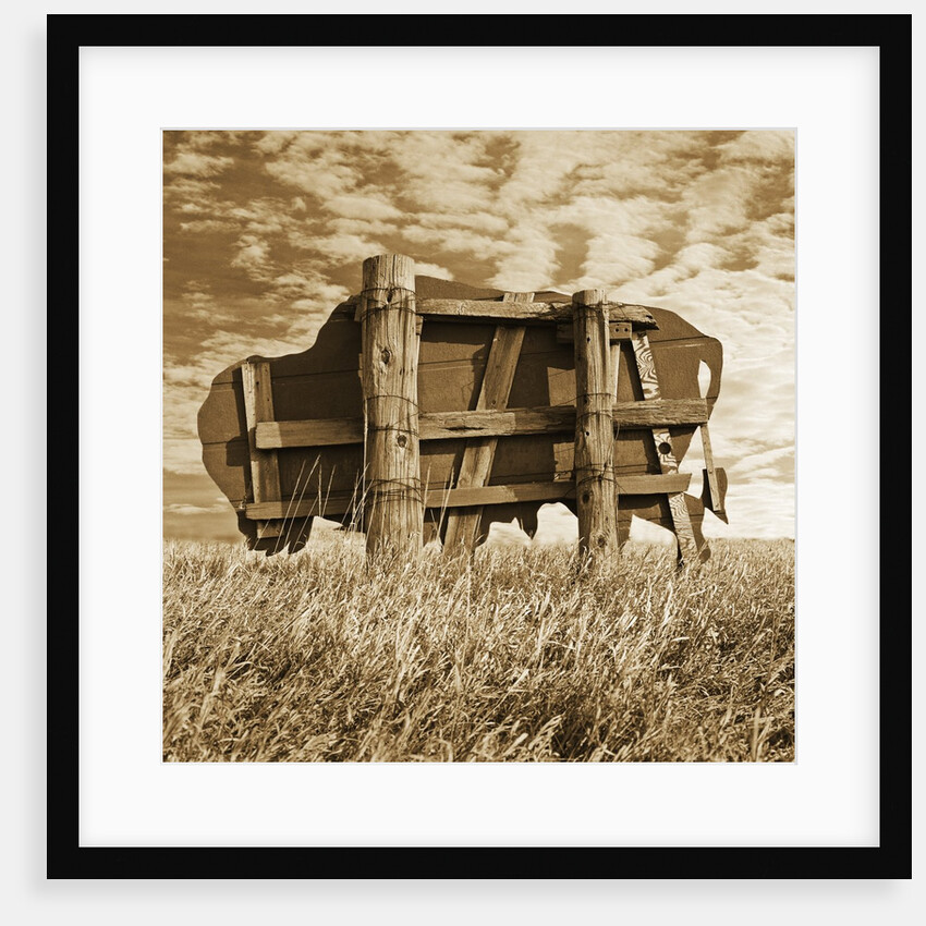 Abandoned Buffalo Sign by Tom Marks