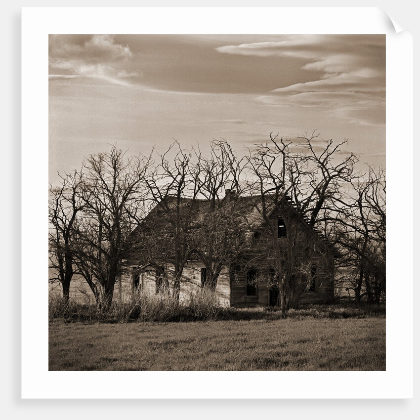 Abandoned House Surrounded by Trees by Tom Marks