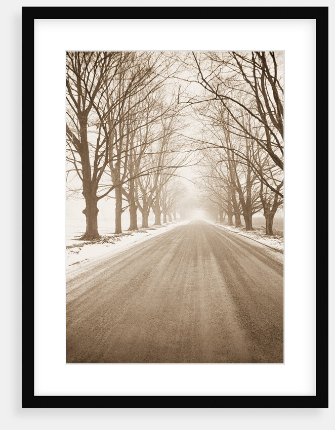 Peaceful Country Road in Rural Michigan by Tom Marks
