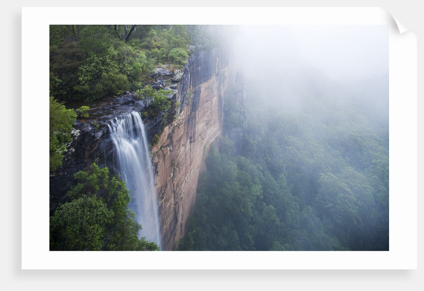 Fog over Fitzroy Falls in Morton National Park by Anonymous