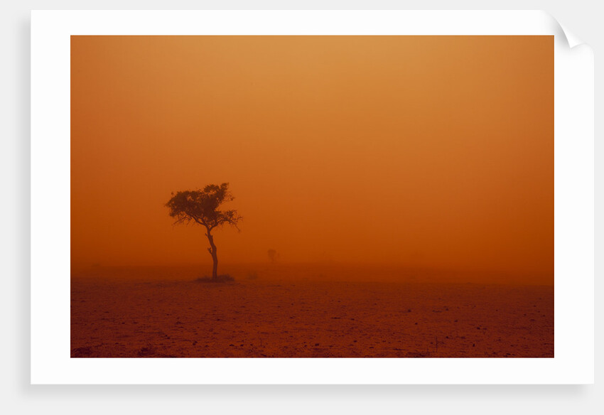 Dust storm in the Australian Outback by Anonymous