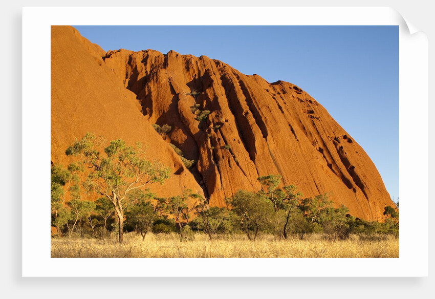 Ayers Rock in the Australian Outback by Anonymous
