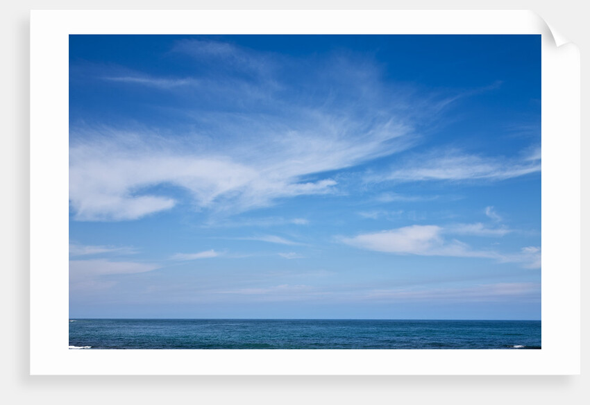 Ocean view at Cape Patton on Great Ocean Road in Australia by Anonymous