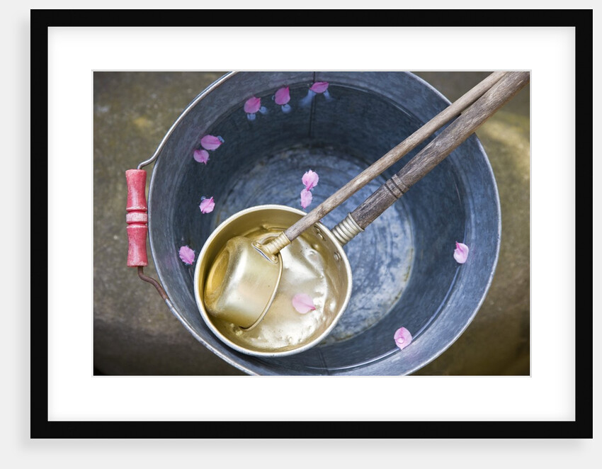 Ladling peach blossoms from a water pail by Anonymous