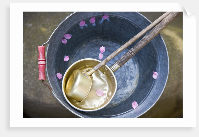 Ladling peach blossoms from a water pail by Anonymous
