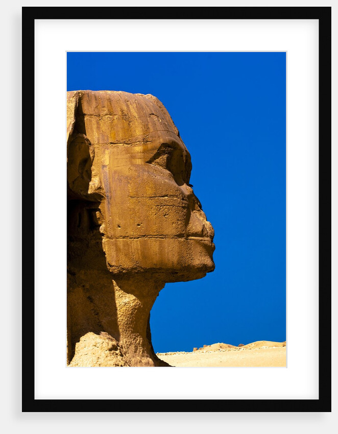 Detail of Great Sphinx at Giza by Anonymous