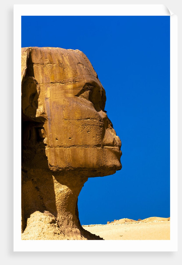 Detail of Great Sphinx at Giza by Anonymous