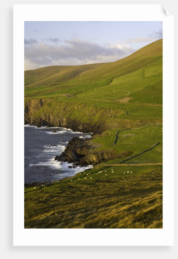 View towards Clougher Head by Anonymous