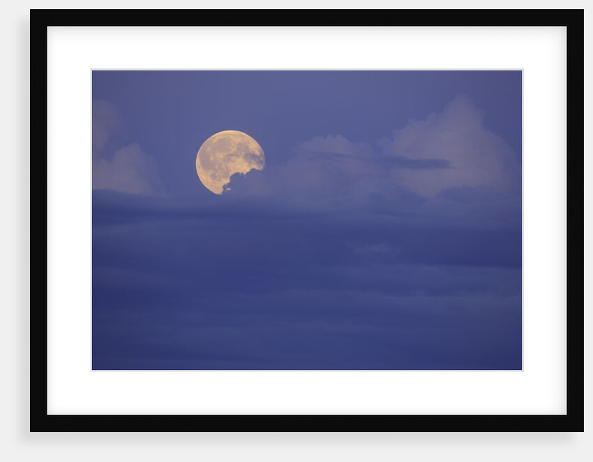 Rising Full Moon in Delta Junction by Anonymous