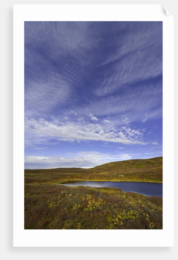 Cirrus and Cumulus Clouds Above Autumn Tundra in Denali National Park by Anonymous