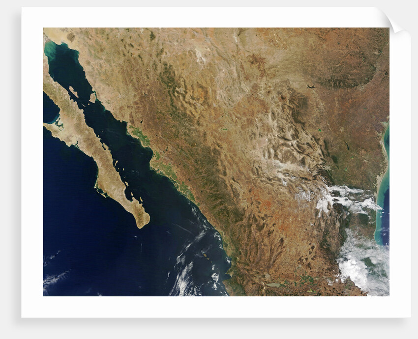 Baja State by Anonymous