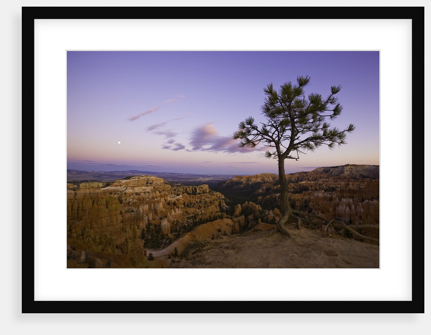 Moonrise over Bryce Canyon National Park by Anonymous
