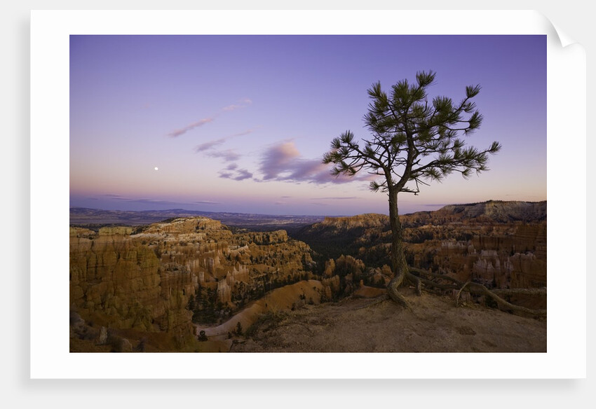 Moonrise over Bryce Canyon National Park by Anonymous