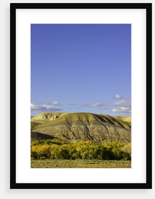 Sandstone buttes and cottonwoods in fall in Wyoming by Anonymous