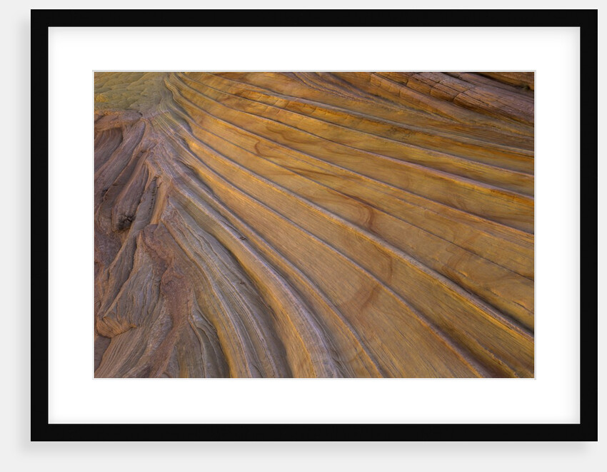 Colorful striated sandstone layers at Coyote Buttes by Anonymous