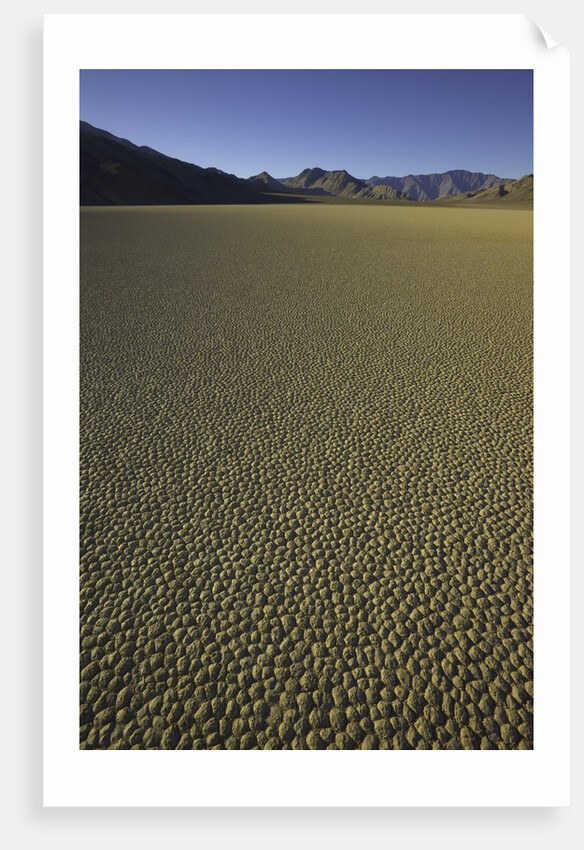 Granulated surface of sandy playa called Racetrack, Death Valley National Park, CA by Anonymous