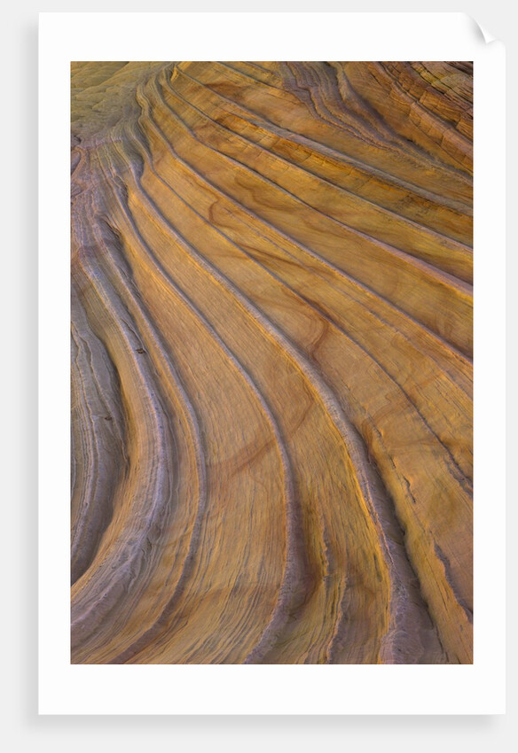 Colorful striated sandstone layers at Coyote Buttes by Anonymous