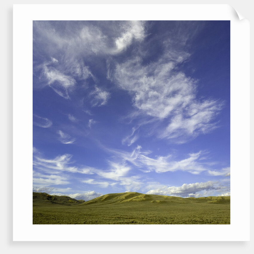 Lofty cumulus and cirrus clouds over sagebrush prairie by Anonymous