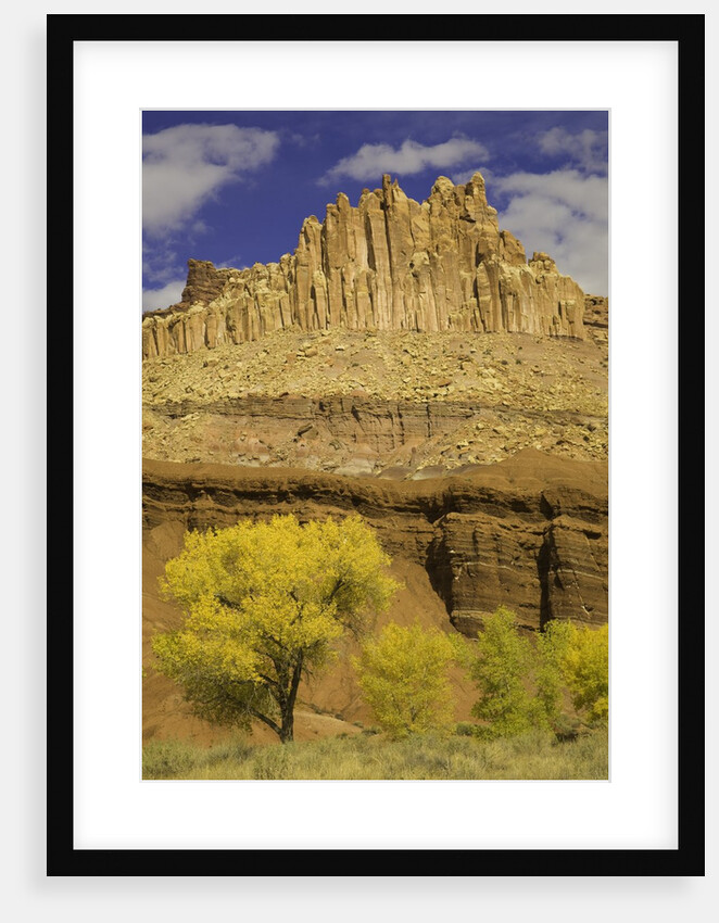 Castle and Fluted Wall Formations in Capitol Reef National Park by Anonymous