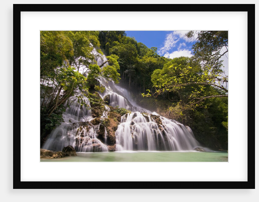 Waterfall in forest by Anonymous