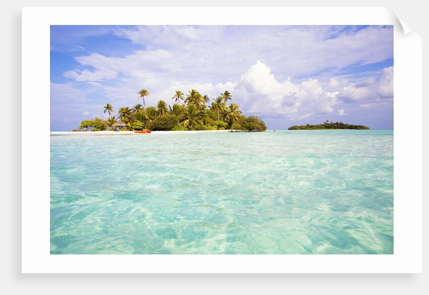 Sea kayaks on the beach of a coconut palm tree island by Anonymous