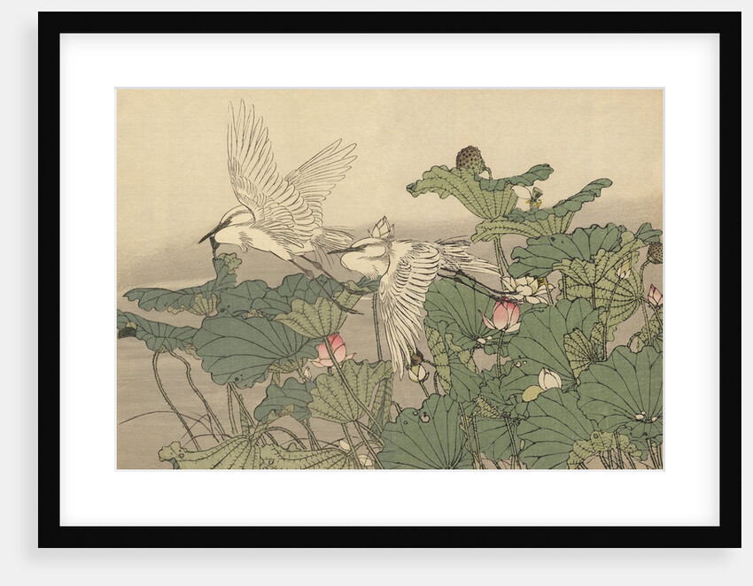 Egrets and Lotus by Imao Keinen