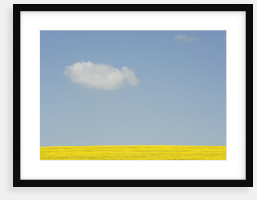 Wiltshire landscape by Anonymous