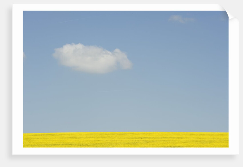 Wiltshire landscape by Anonymous