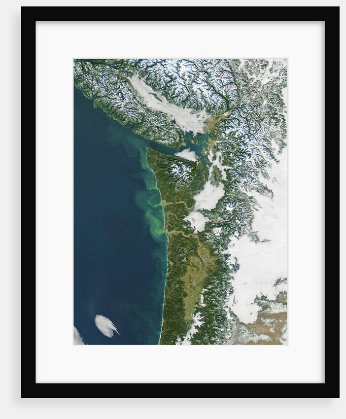 Pacific Northwest Coast of the United States in winter by Anonymous