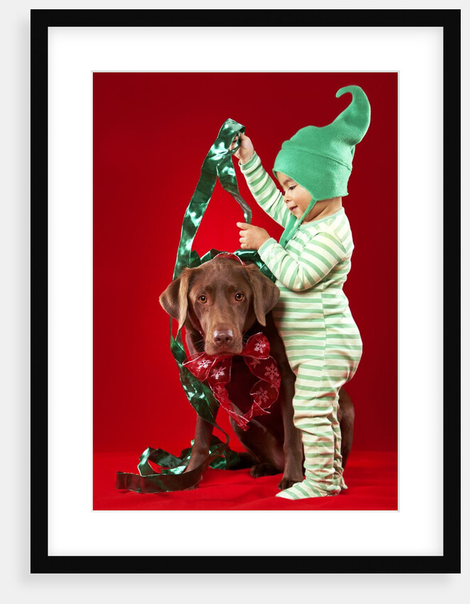 Little boy decorating a dog by Anonymous