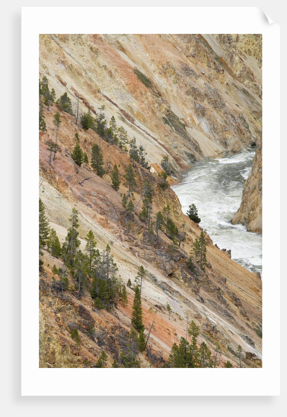 Yellowstone River in Grand Canyon of the Yellowstone by Anonymous