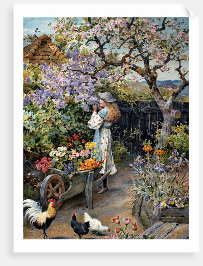 An English Cottage Garden by William Stephen Coleman