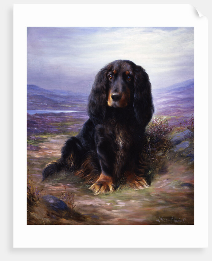 A Spaniel in the Highlands by Lilian Cheviot