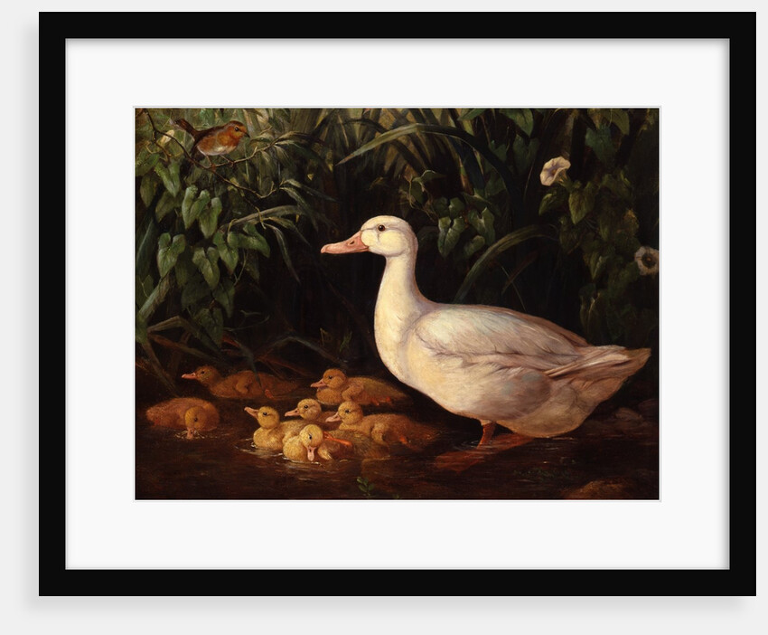 New Brood by Edward Neale