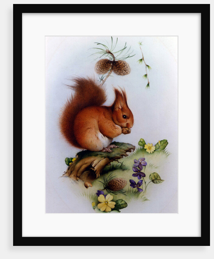 Red Squirrel with Primroses and Violets by Edward Julius Detmold